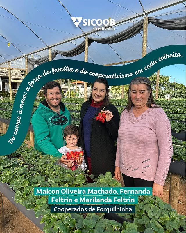 Morangos vermelhos e doces